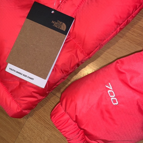 NWT The North Face Retro 1996 Nuptse Jacket - Picture 4 of 14